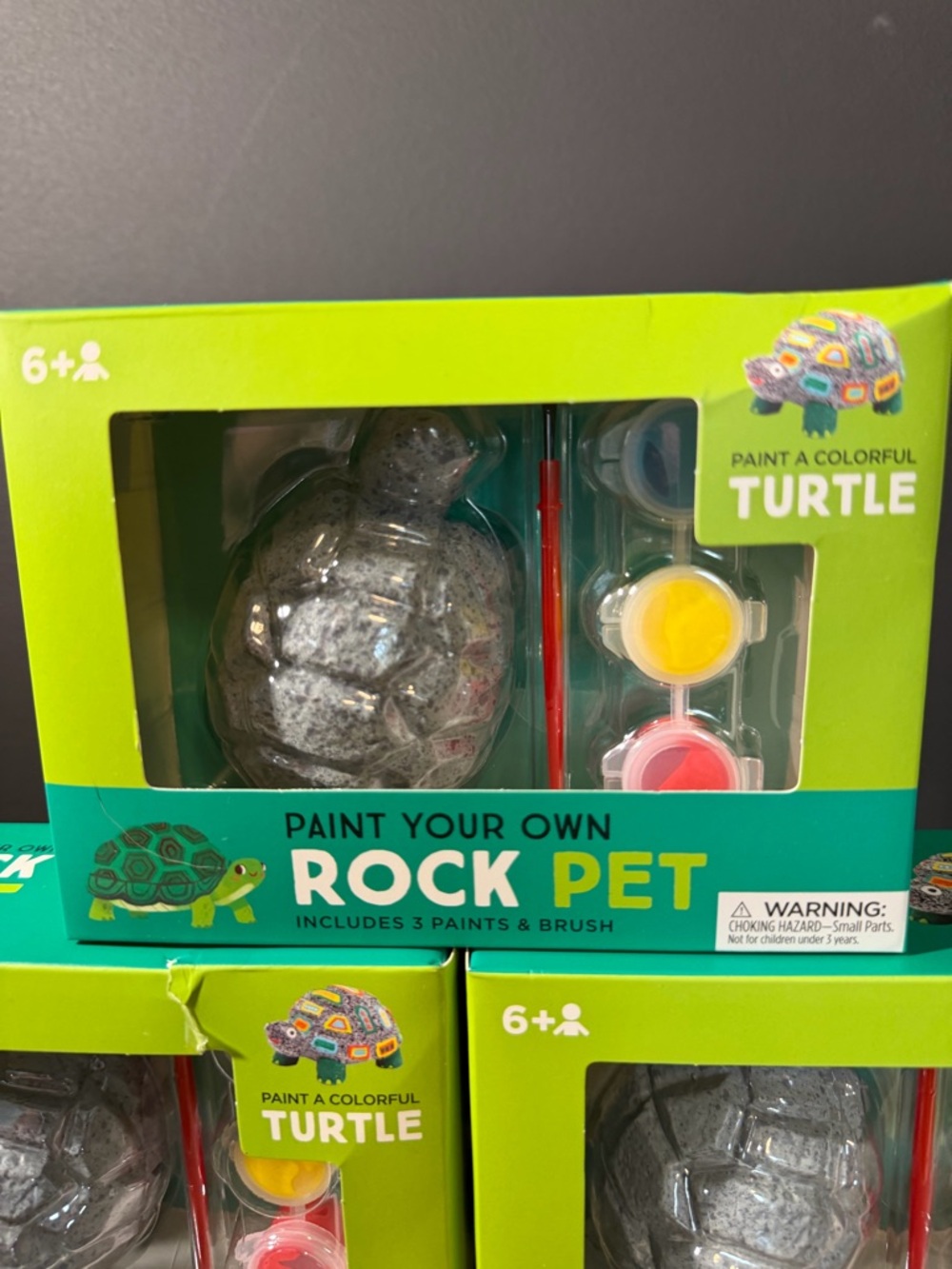 Rock Pet Craft Set. NWT - Picture 4 of 4